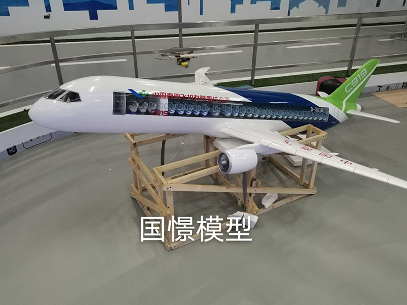 扎囊县飞机模型